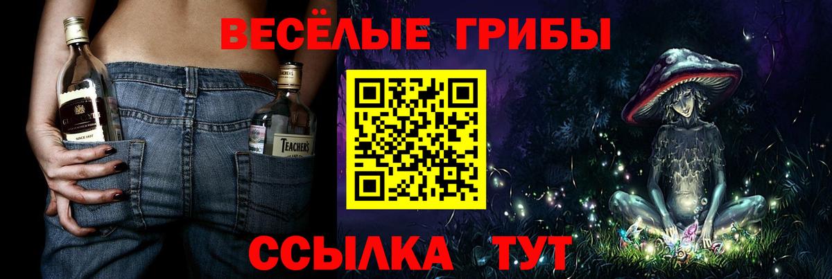 Псилоцибиновые грибы ЛСД  где купить наркотик  Кашира  Вход с VPN 
